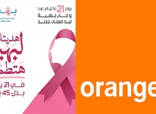 اورنچ مصر تشارك مؤسسة 